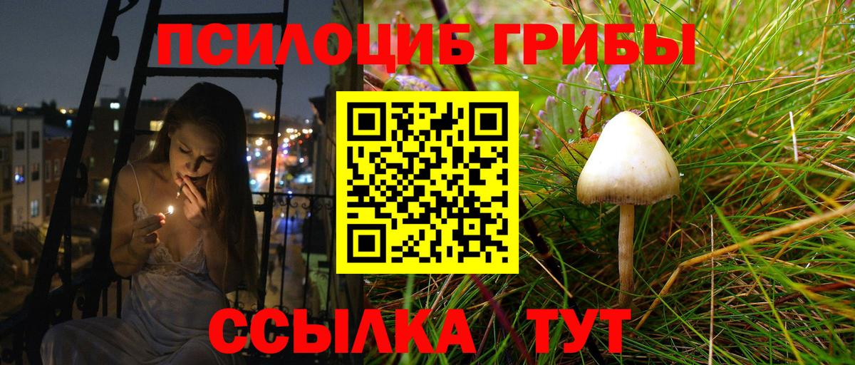 Галлюциногенные грибы ЛСД  Вход с VPN  Тихорецк  Псилоцибиновые грибы мухоморы 