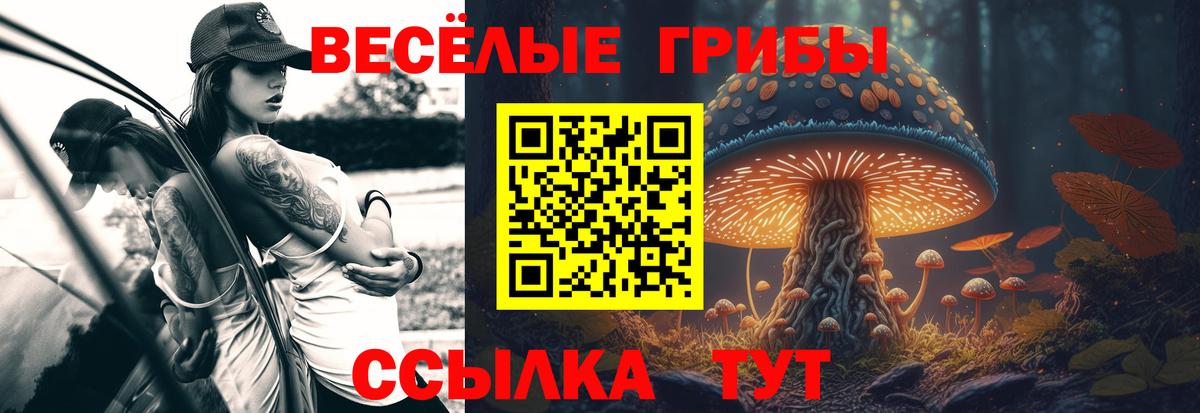 Галлюциногенные грибы прущие грибы Тихорецк